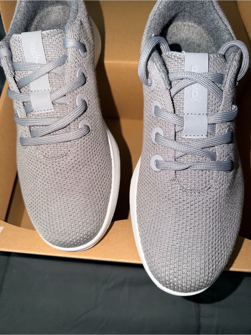 Allbirds Grey Sneakers